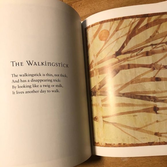 Insectlopedia Book Douglas Florian - Picture 4 of 6